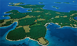 Brijuni Islands (Istrian Tourist Board)